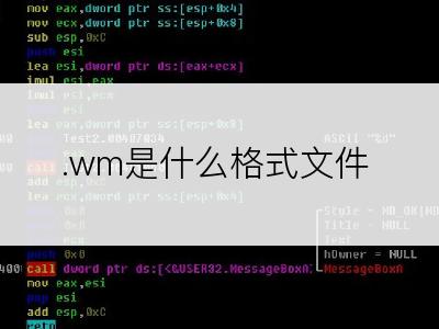 .wm是什么格式文件