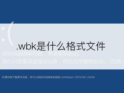 .wbk是什么格式文件