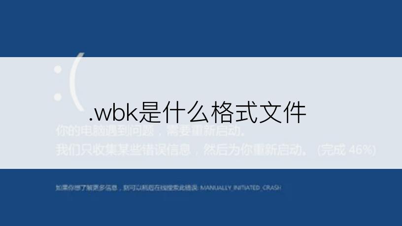 .wbk是什么格式文件