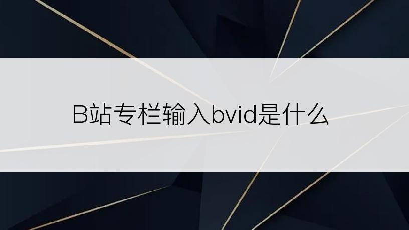 B站专栏输入bvid是什么