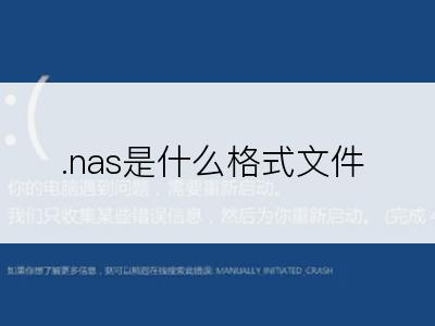 .nas是什么格式文件