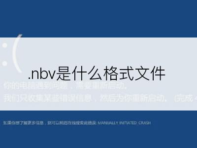 .nbv是什么格式文件