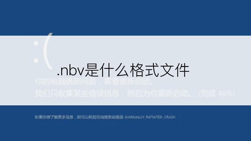 .nbv是什么格式文件