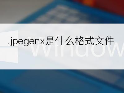 .jpegenx是什么格式文件