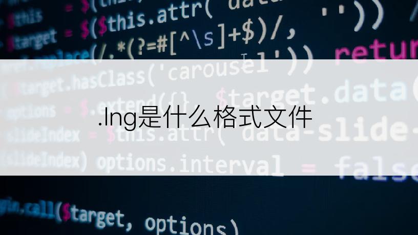 .lng是什么格式文件