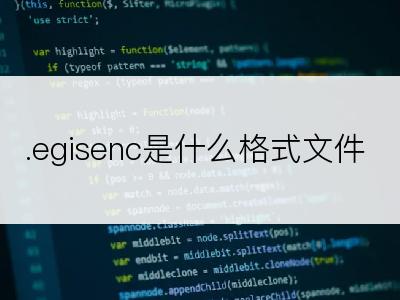 .egisenc是什么格式文件