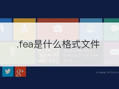 .fea是什么格式文件