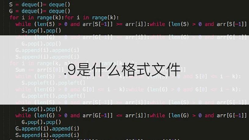 .9是什么格式文件