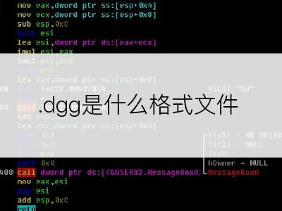 .dgg是什么格式文件