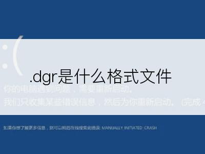 .dgr是什么格式文件