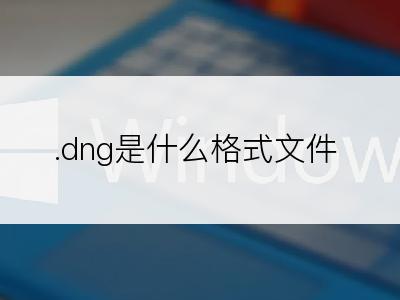 .dng是什么格式文件