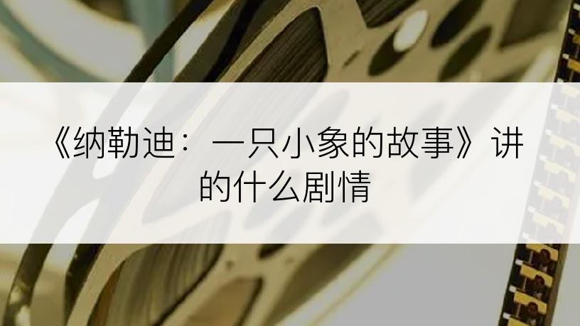 《纳勒迪：一只小象的故事》讲的什么剧情