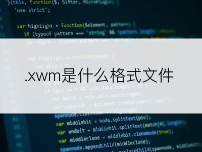 .xwm是什么格式文件