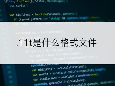 .11t是什么格式文件