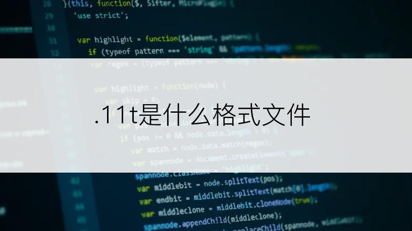 .11t是什么格式文件