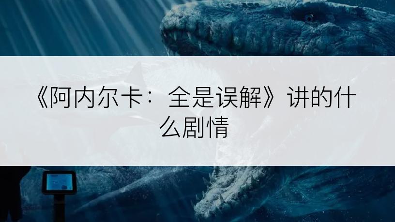 《阿内尔卡：全是误解》讲的什么剧情