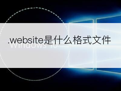 .website是什么格式文件