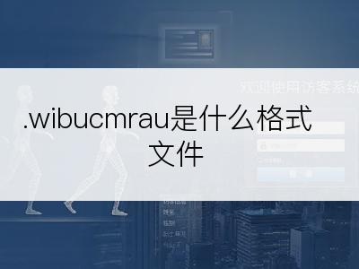 .wibucmrau是什么格式文件