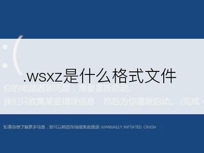 .wsxz是什么格式文件