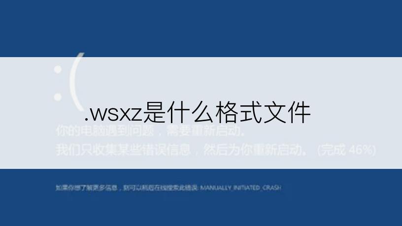 .wsxz是什么格式文件