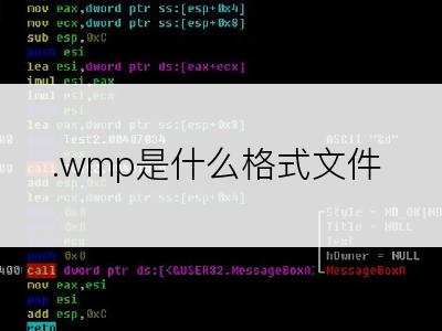 .wmp是什么格式文件