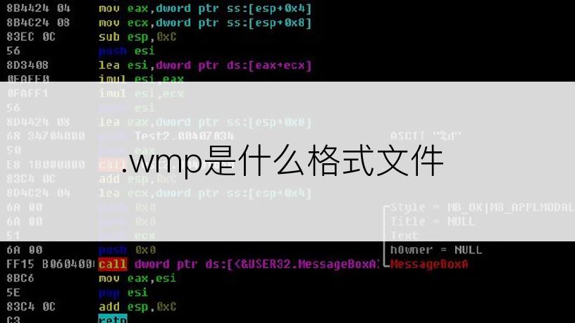 .wmp是什么格式文件