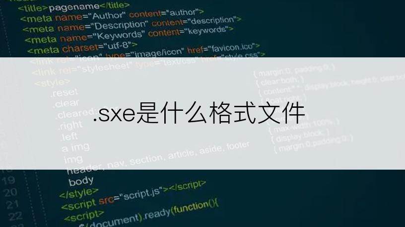 .sxe是什么格式文件