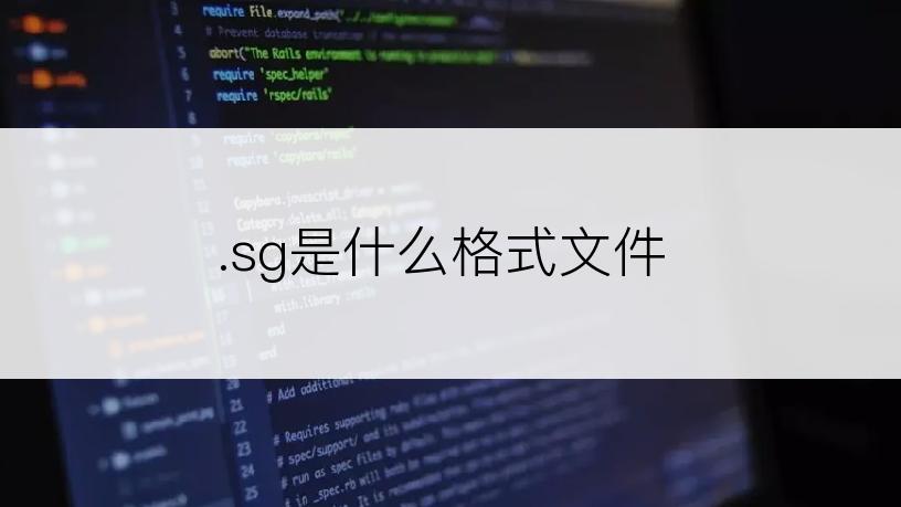 .sg是什么格式文件