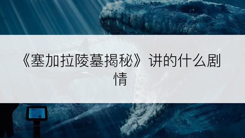 《塞加拉陵墓揭秘》讲的什么剧情