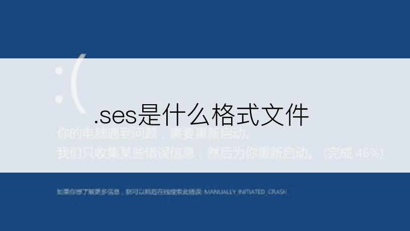 .ses是什么格式文件