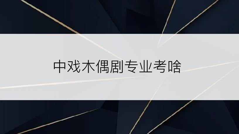 中戏木偶剧专业考啥