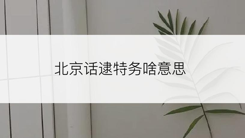 北京话逮特务啥意思