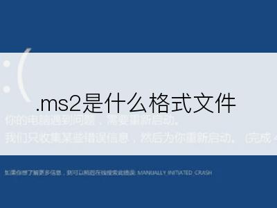 .ms2是什么格式文件