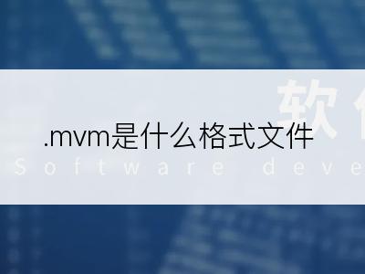 .mvm是什么格式文件