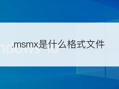 .msmx是什么格式文件