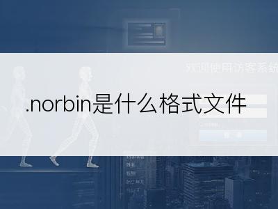 .norbin是什么格式文件