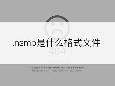 .nsmp是什么格式文件