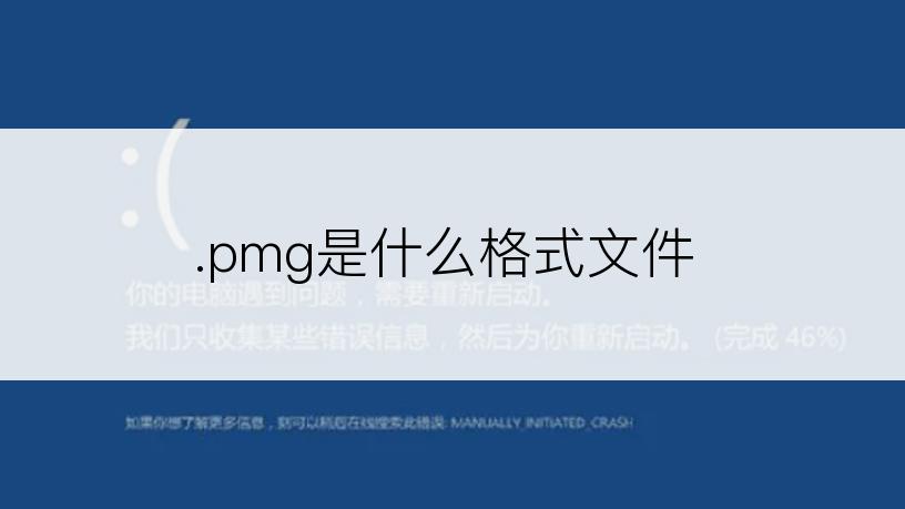 .pmg是什么格式文件