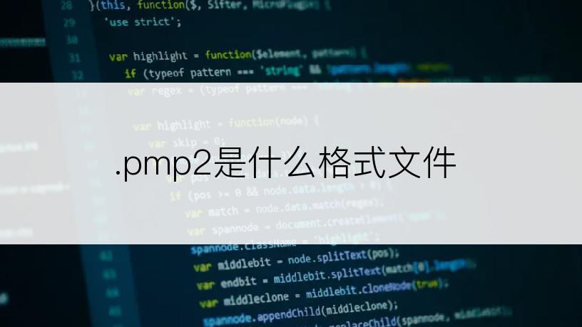 .pmp2是什么格式文件