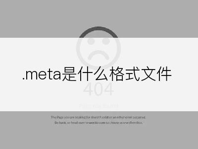 .meta是什么格式文件