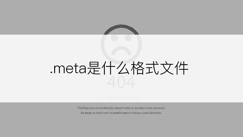 .meta是什么格式文件