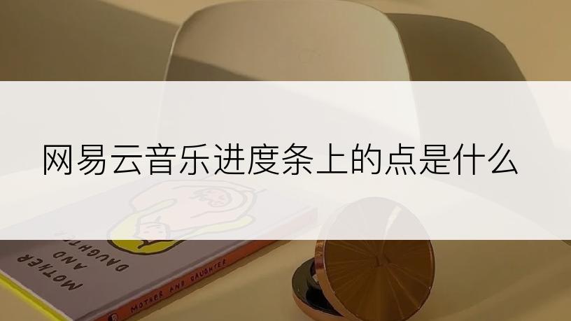 网易云音乐进度条上的点是什么