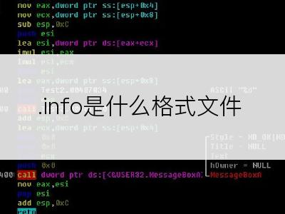 .info是什么格式文件