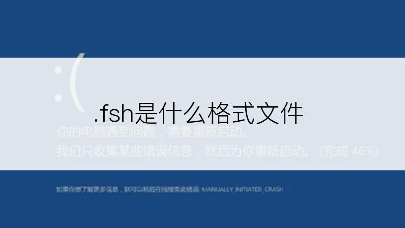 .fsh是什么格式文件