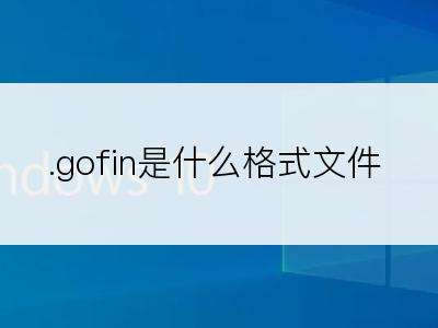 .gofin是什么格式文件