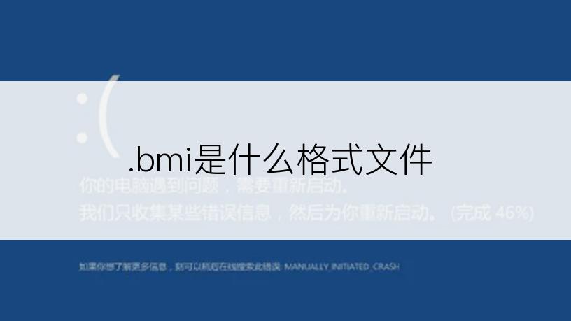 .bmi是什么格式文件