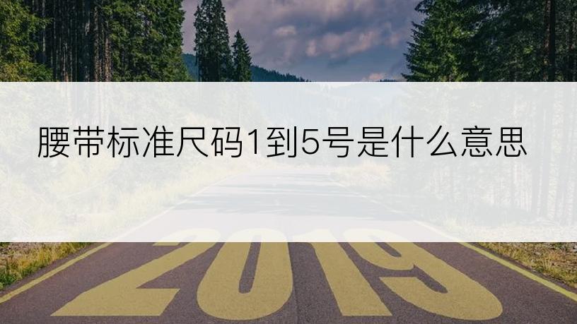 腰带标准尺码1到5号是什么意思