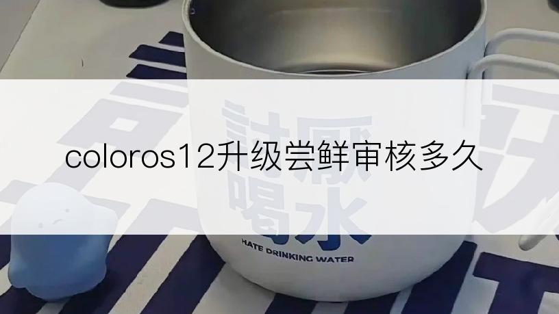 coloros12升级尝鲜审核多久