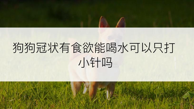 狗狗冠状有食欲能喝水可以只打小针吗