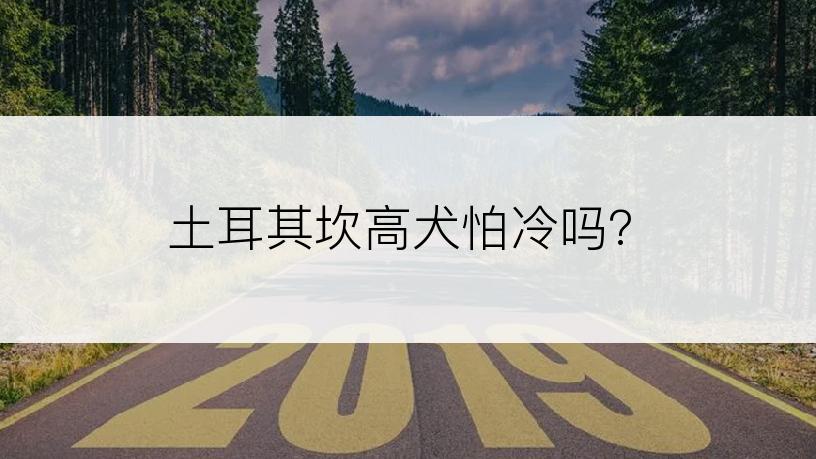 土耳其坎高犬怕冷吗?